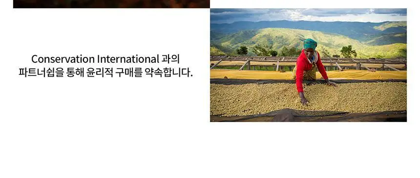 [공식] 스타벅스 파우더커피 150T (다크/미디엄/블론드 선택가능) 상세페이지 25